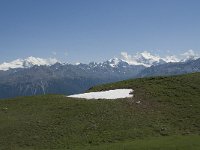 CH, Wallis, Leukerbad, Wysse See 8, Saxifraga-Willem van Kruijsbergen